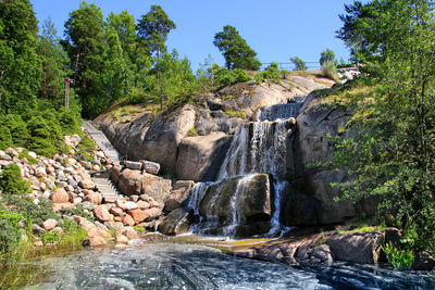 Scenic view of waterfall in forest