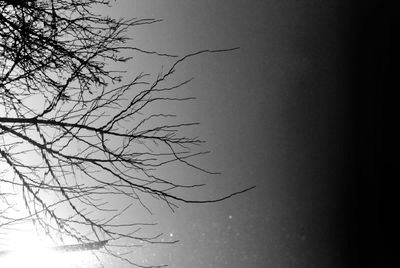 Low angle view of bare trees