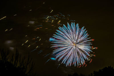 Low angle view of firework display at night