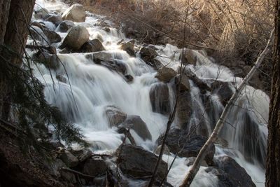 Scenic view of waterfall in forest