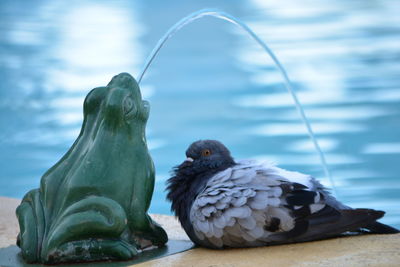 Close-up of a sculpture