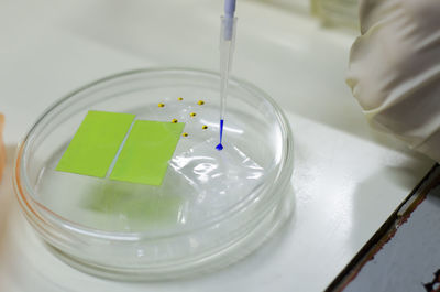 Close-up of hand testing chemical in lab