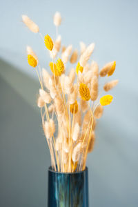 Close-up of yellow flower in vase