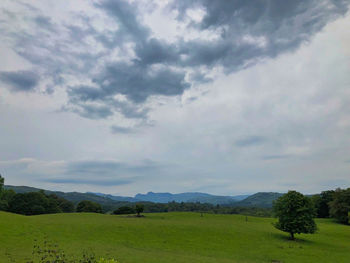 Scenic view of field against sky