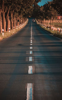 Road amidst trees