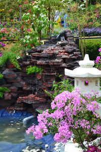 View of flowering plants in garden