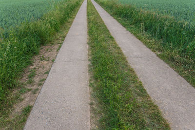 Road passing through field