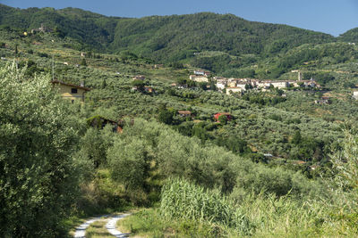 Scenic view of village amidst buildings