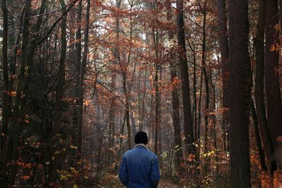 Rear view of man standing by trees in forest during autumn