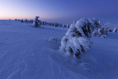 Snow covered landscape against sky