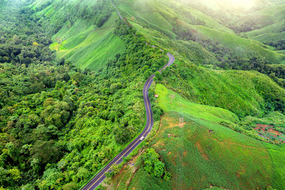 High angle view of road amidst trees