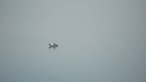 Boat sailing in sea