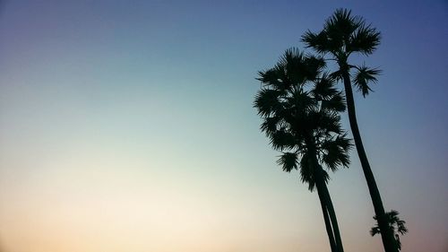 Low angle view of silhouette tree against clear sky