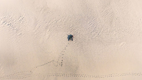 Man walking on sand