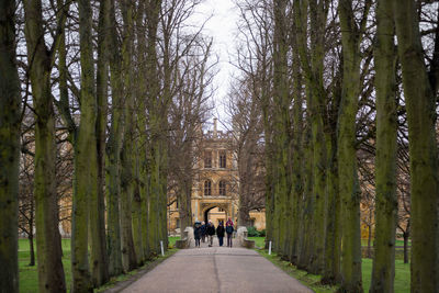 Rear view of people walking on road amidst trees in forest