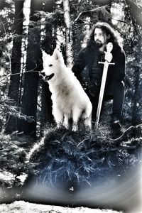 Portrait of dog sitting on snow in forest