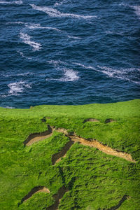 High angle view of horse on land