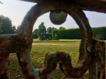 Close-up of metal structure on field against trees