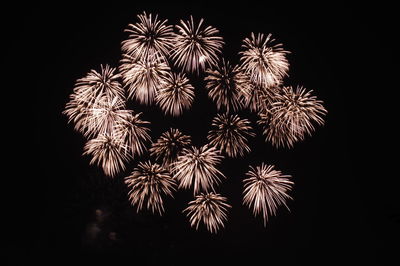 firework
