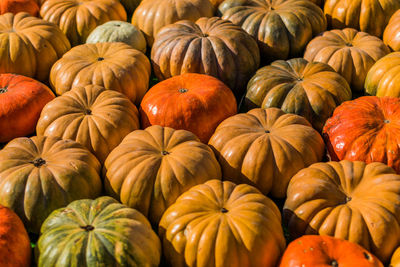 Full frame shot of pumpkins during autumn