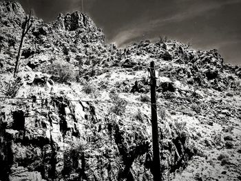 Trees growing on rock against sky
