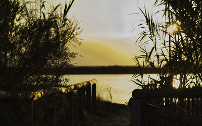 Silhouette trees by lake against sky during sunset