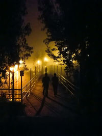 Silhouette people walking on illuminated street at night