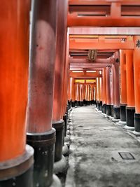 Torii gates at shinto shrine