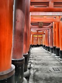 Torii gates at shinto shrine
