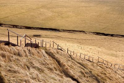 Scenic view of landscape