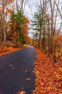 Road amidst trees in forest during autumn