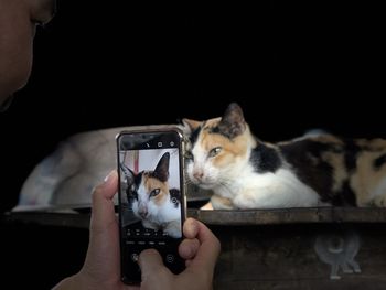 Midsection of cat holding smart phone while standing against black background