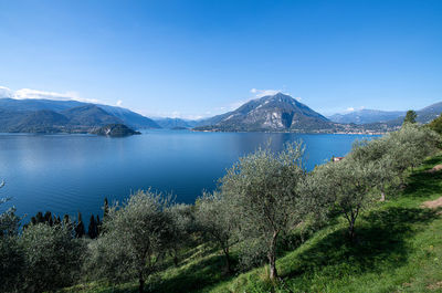 Scenic view of lake against blue sky