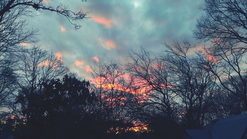 tree, sky, silhouette, cloud - sky, low angle view, tranquility, sunset, bare tree, branch, beauty in nature, scenics, tranquil scene, nature, cloudy, growth, cloud, dusk, idyllic, outdoors, no people