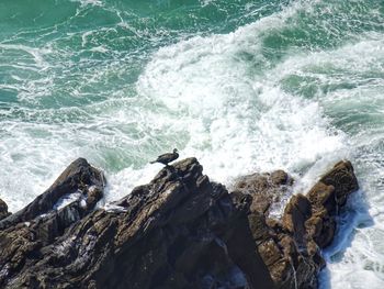 Scenic view of rocks in sea