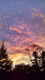 Low angle view of silhouette trees against sky at sunset