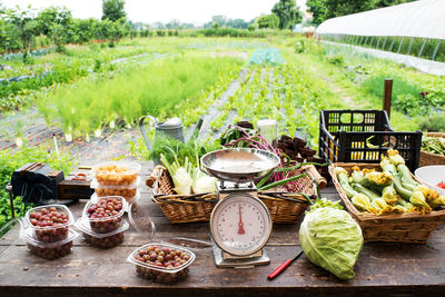Scale with fresh farm produce on table