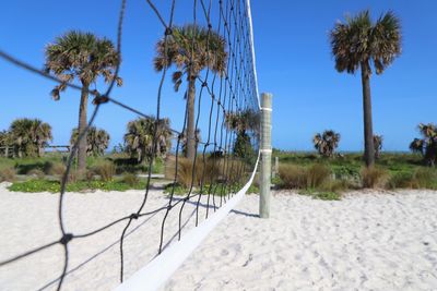 Palm trees on beach against clear blue sky