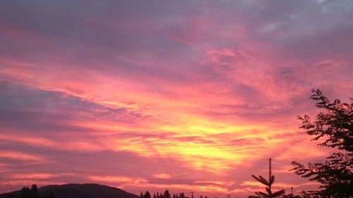 Silhouette trees against orange sky