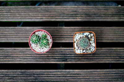 Directly above shot of tea on table against window