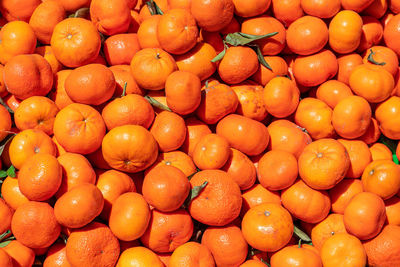 Full frame shot of oranges