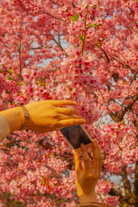 Cropped hand of woman with arms raised