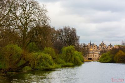 View of trees by river against cloudy sky