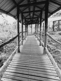 Boardwalk amidst trees against sky