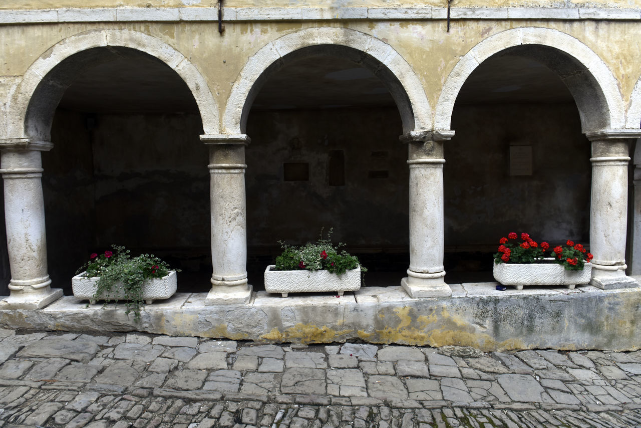 POTTED PLANTS AND HISTORIC BUILDING