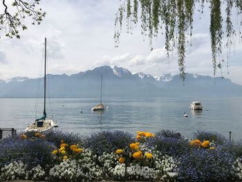 Scenic view of sea and mountains against sky