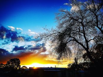 Low angle view of silhouette trees against sky at sunset