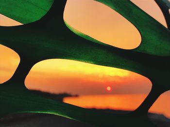Close-up of silhouette plant against sky during sunset