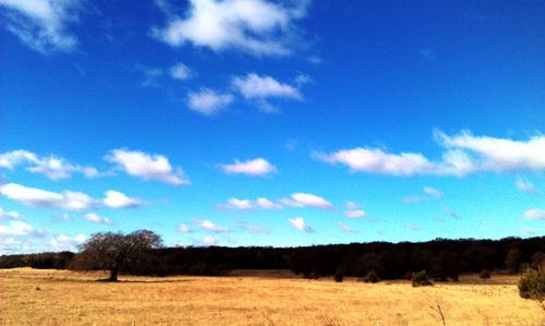 Scenic view of landscape against cloudy sky