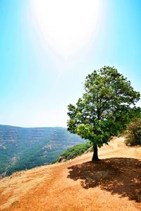 Scenic view of landscape against clear sky